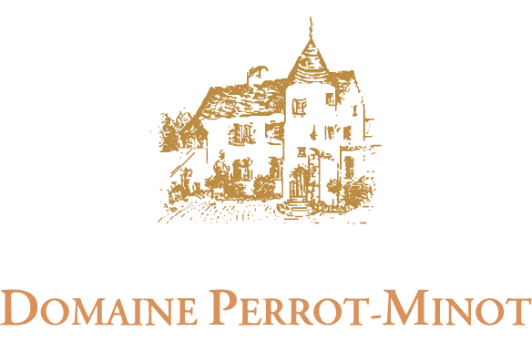 DomainePerrotMinot-logo