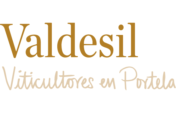 Valdesil-logo